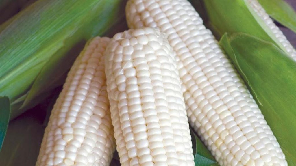 mais bianco a basso contenuto di nichel